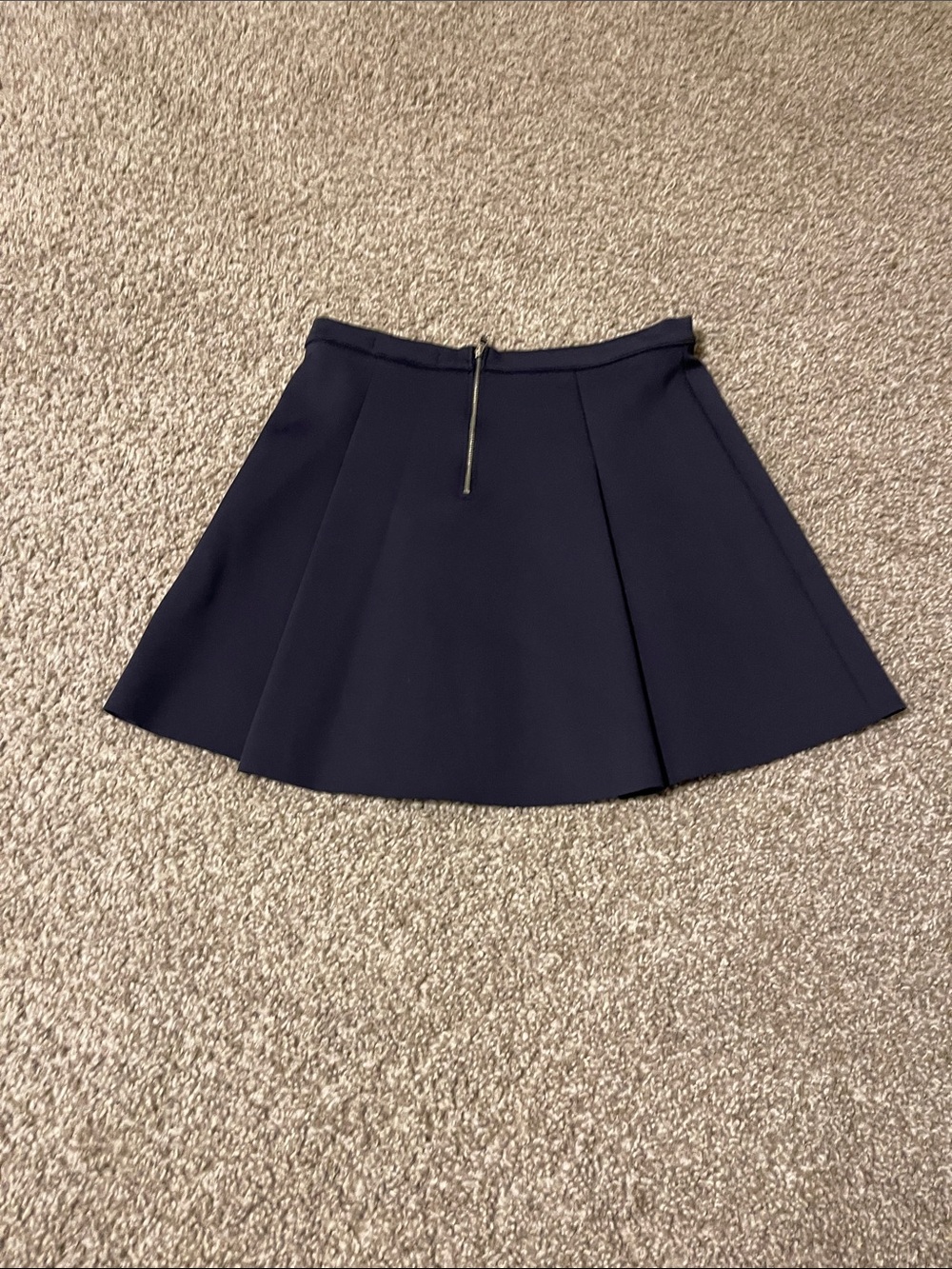 J brand skirt